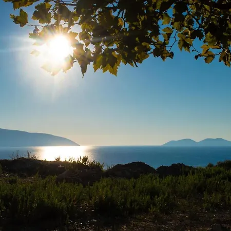 Hodo Guest house Vlore