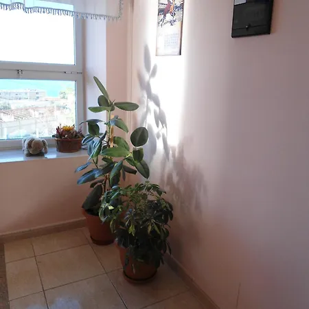 Hodo Guest house Vlore