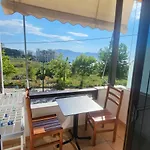 Vila Hodo Guesthouse